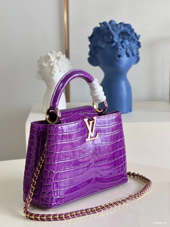 BB VUITTON CAPUCINES LOUIS 0728